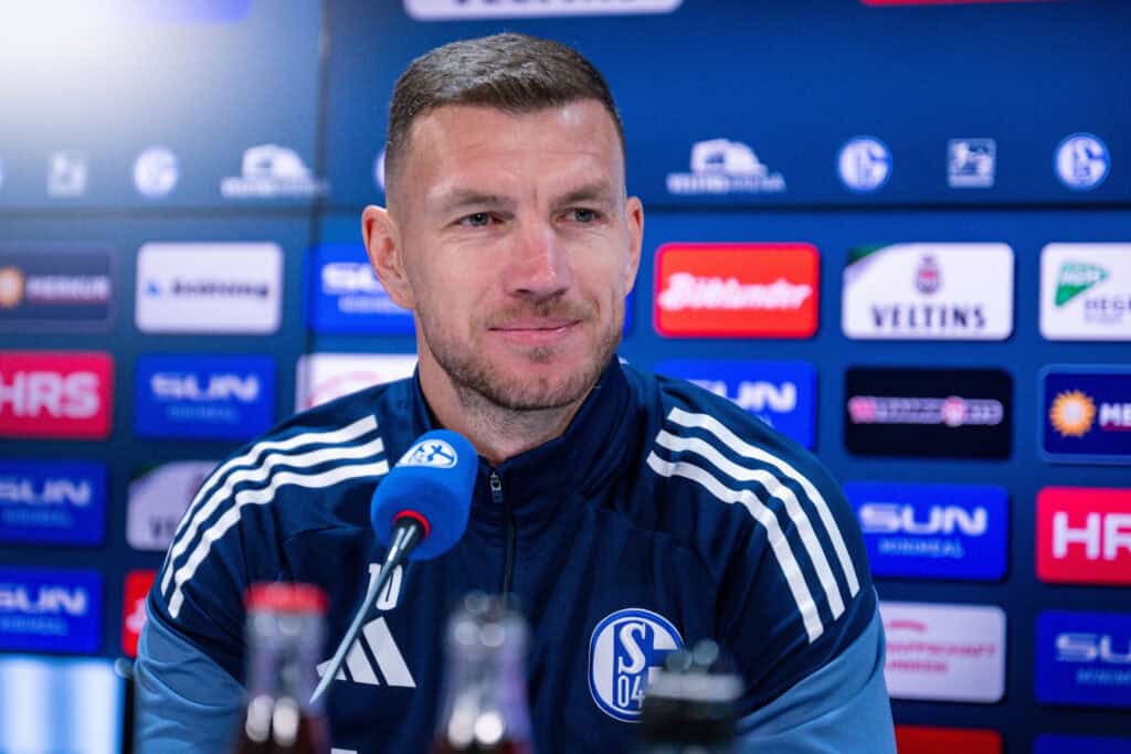 Edin Dzeko