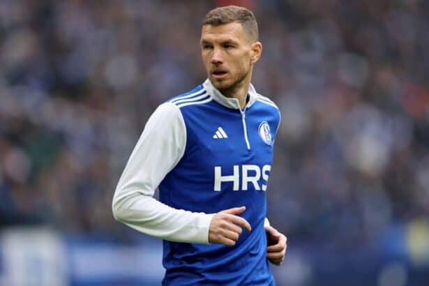 Edin Dzeko