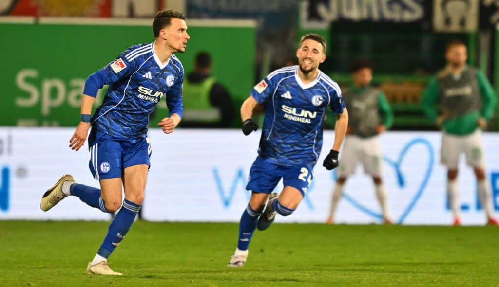 Dejan Ljubicic, Schalke