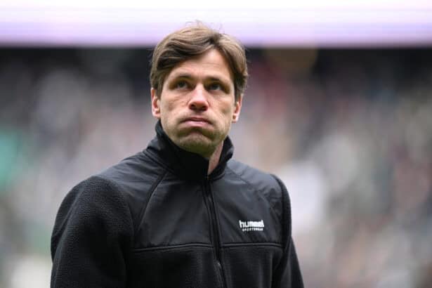 Clemens Fritz, Werder Bremen