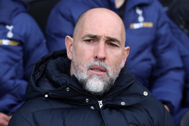 Igor Tudor, Tottenham