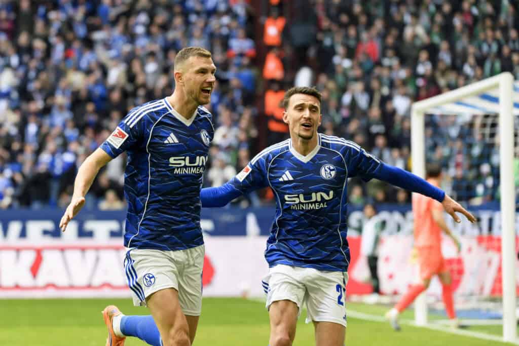 Edin Dzeko, Schalke 04