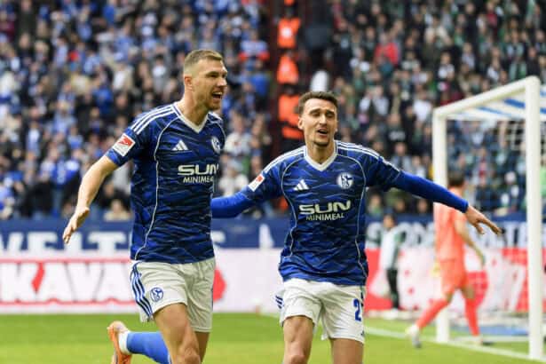 Edin Dzeko, Schalke 04