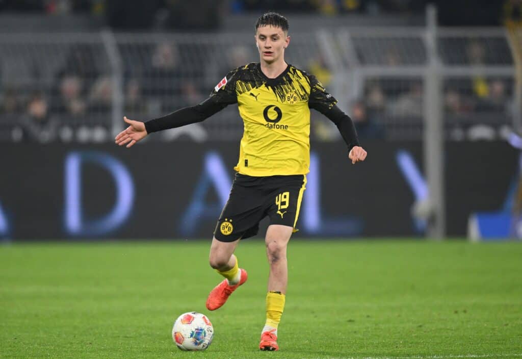 Luca Reggiani, BVB