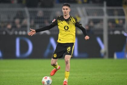 Luca Reggiani, BVB