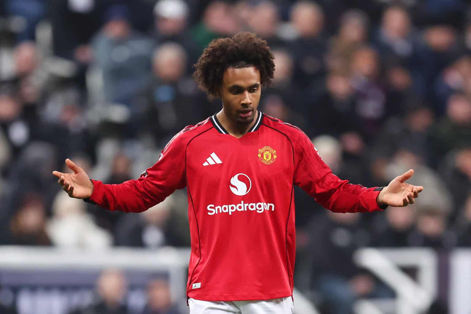Joshua Zirkzee, ManUnited