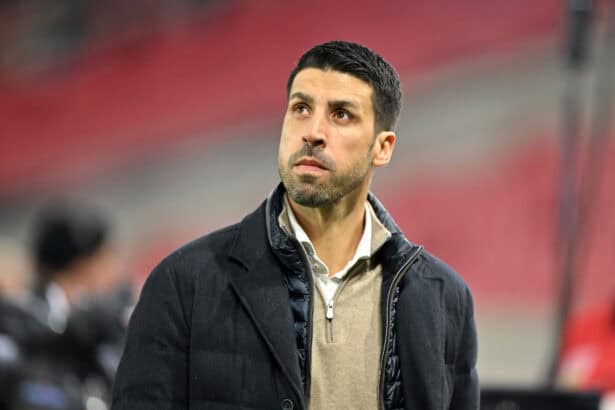 Sami Khedira, DFB