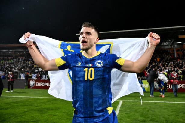 Ermedin Demirovic, Bosnien