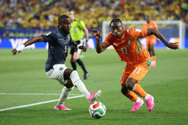 Yan Diomande, WM